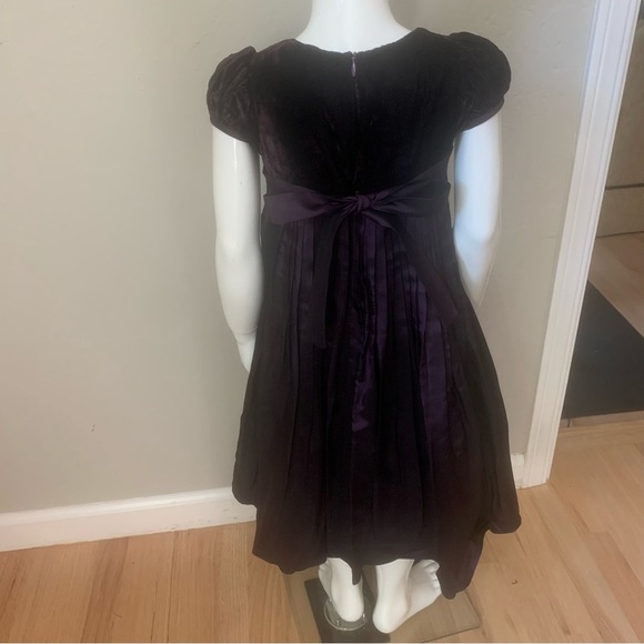 BISCOTTI Collezioni Velvet and Taffeta Special Occasion Fancy Dress Size 4T - Picture 9 of 16
